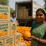 Nagpur's Orange Exports Reach New Markets, Boosting Local Economy