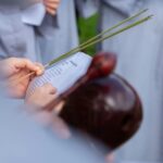 Understanding Our Heritage The Significance of Shastras in Daily Life