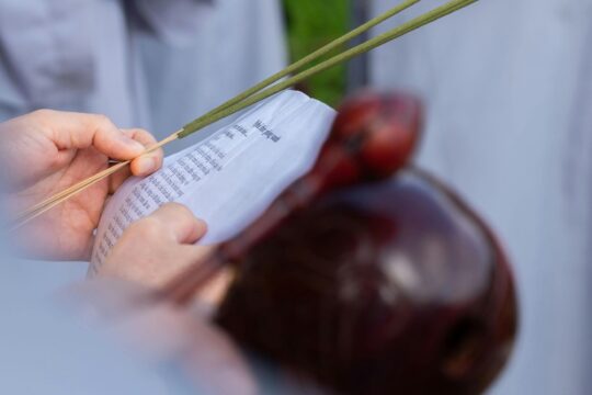 Understanding Our Heritage The Significance of Shastras in Daily Life