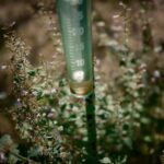AI for Environmental Monitoring Tackling Pollution in Indian Cities