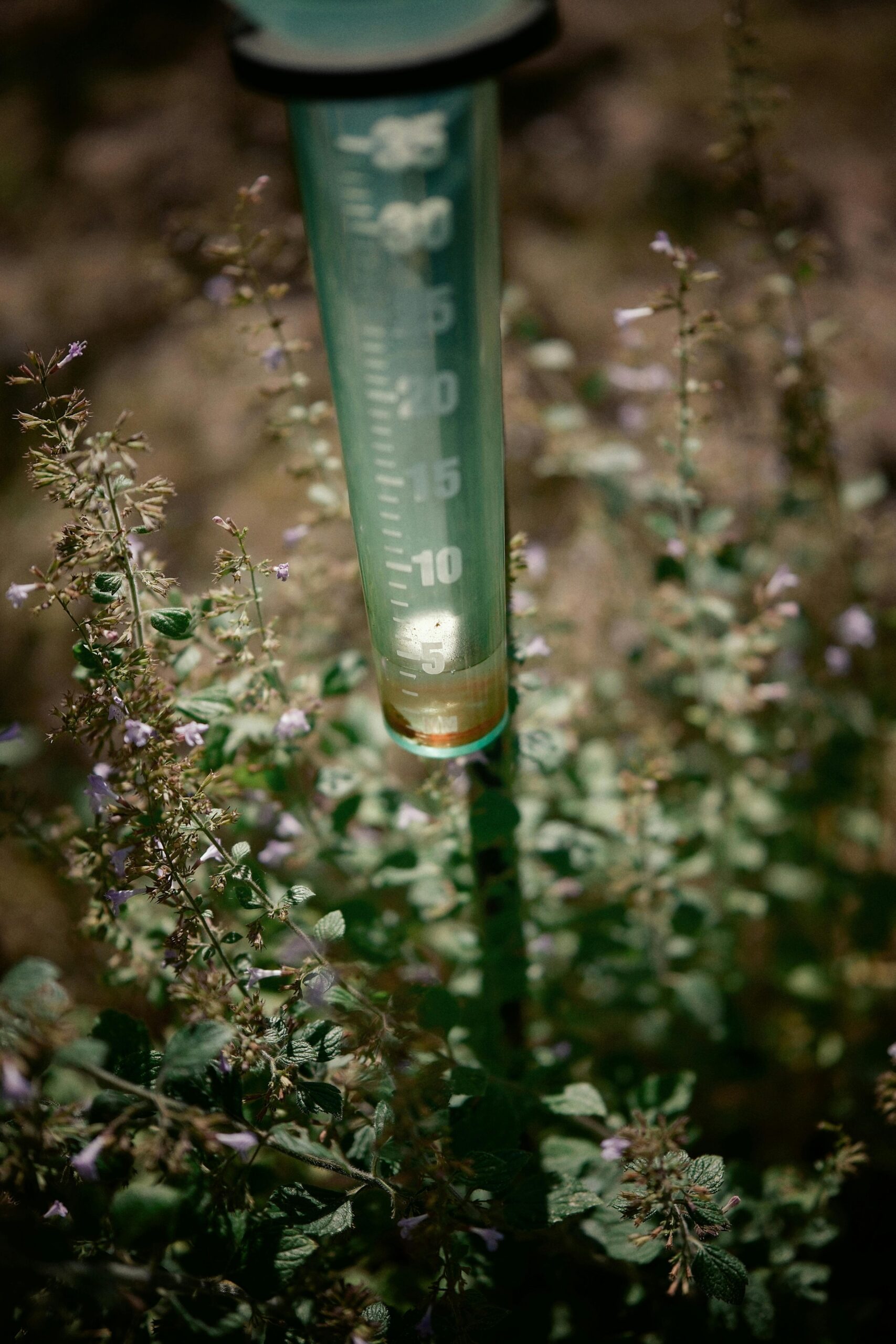 AI for Environmental Monitoring Tackling Pollution in Indian Cities