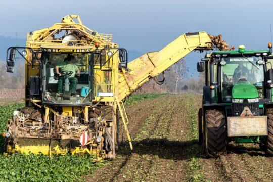 The Impact of AI and Automation on Uttar Pradesh’s Job Market