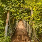 Uttar Pradesh’s Environmental Policies Are We Protecting Our Future