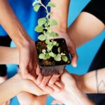 Are We Fostering a New Generation of Responsible Citizens