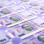 Globalization and Capitalism How They Shape India's Economy