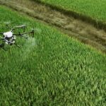 AI in Agriculture How Government Policies Are Driving Innovation