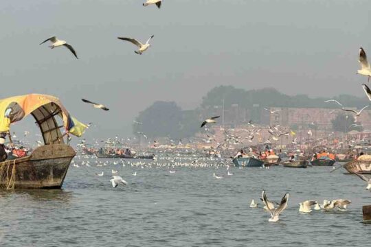 Uttar Pradesh's Water Crisis Is There a Sustainable Solution